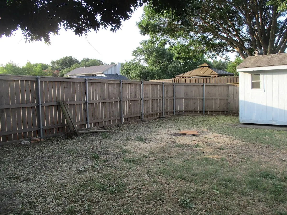 Cleared yard after professional tree removal in Sheldon